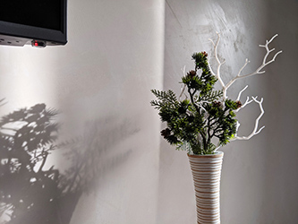 Just a quick combo to remind of the art of ikebana.