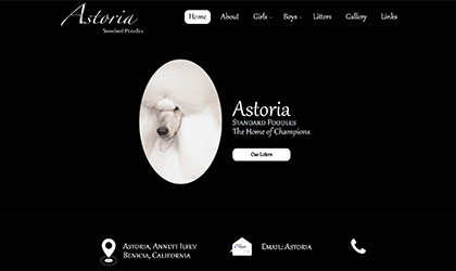 <span class='thumb-ann__year'>2025</span>Astoria Standard Poodles