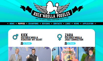 <span class='thumb-ann__year'>2022</span>Rock'n'Rolla Poodles